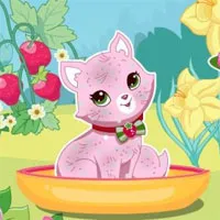 Игри Котки онлайн игра за безплатна!