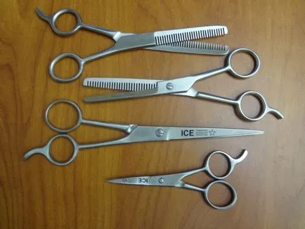Инструменти за рязане на кучета урок у дома, пътува до Москва евтин