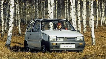 История на Ока