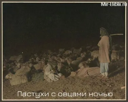 Интересно живота на овчарите
