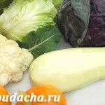 Как и къде по-добре да се засадят тиквички, извара