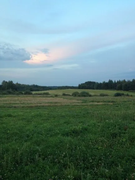Как компетентно да сее многогодишни треви за сено