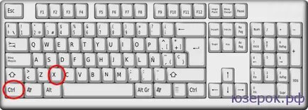 Как да копирате и поставяте текст с помощта на клавиатурата, PC For Dummies (вложка) Как да копирате и поставяте текст с помощта на клавиатурата, компютърът за манекени