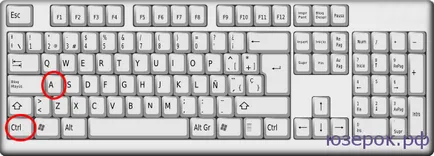 Как да копирате и поставяте текст с помощта на клавиатурата, PC For Dummies (копие) Как да копирате и поставяте текст с помощта на клавиатурата, компютърът за манекени