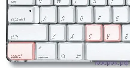 Как да копирате и поставяте текст с помощта на клавиатурата, PC For Dummies (текст) Как да копирате и поставяте текст с помощта на клавиатурата, компютърът за манекени