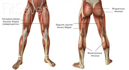 Как да изтеглите десен крак