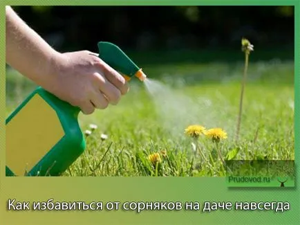 Как да се отървете от плевели в страната за всички основни пътища