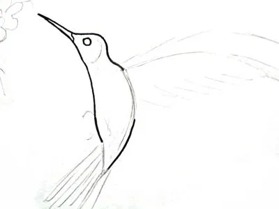 Как да се направи Hummingbird