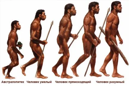Какво е името на първия древен човешки деца онлайн енциклопедията Какво е името на първия древен човешки деца онлайн енциклопедията