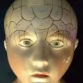 Physiognomy - azt jelenti, hogy a gödröcske az állán (gödröcske) Physiognomy - azt jelenti, hogy a gödröcske az állán