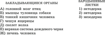 Törzsfejlődés és az egyedfejlődés