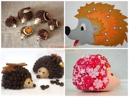 Hedgehog kezével érdekes ötleteket és kézműves mesterkurzusokat fotókkal