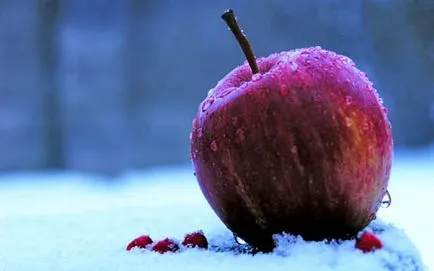 Как да използвате iphone, IPAD и MacBook през студения сезон - член (iphone) Как да използвате iphone, IPAD и MacBook през студения сезон - статия