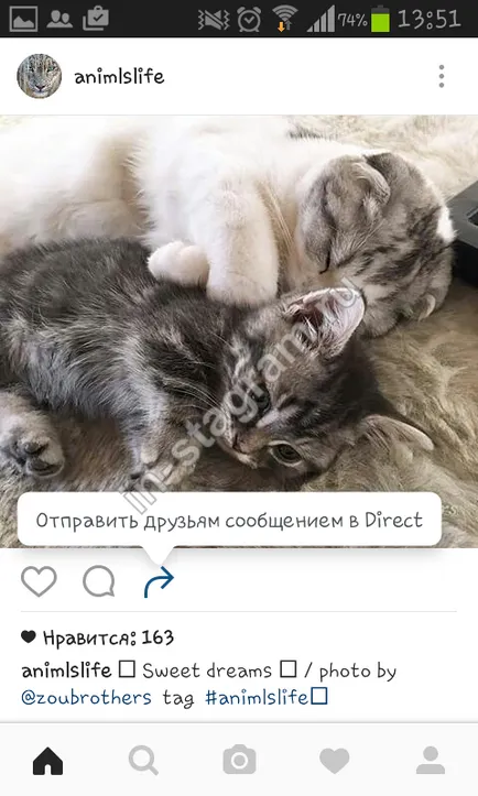 Как да използвате instagramom как да използват Instagram (използване) Как да използвате instagramom как да използват Instagram