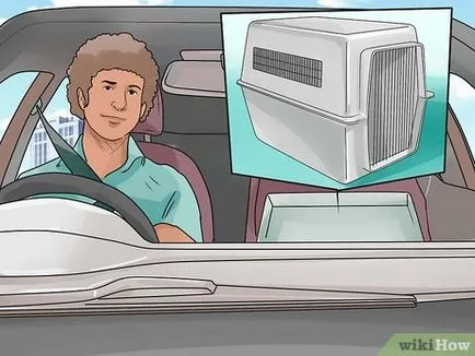 Как да хвана кучето