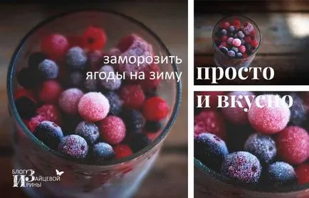 Как да се замразява плодове за зимата, блог Iriny Zaytsevoy