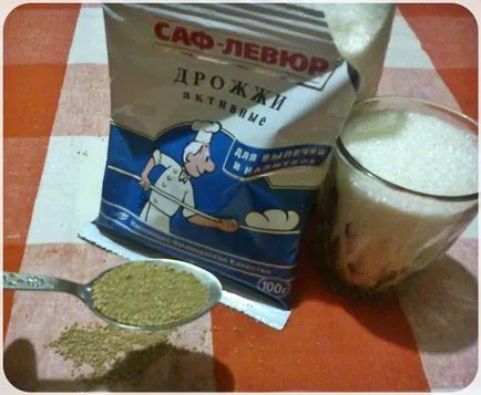 Как да се готви джинджифилова бира къща