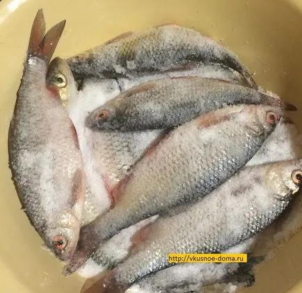 Как да туршия Taranco дома вкусни домашно