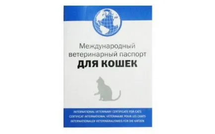 Как да си направим една котка ветеринарен паспорт