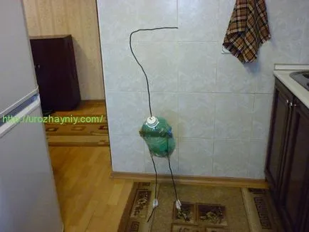Как да си направим чапла от пластмасови бутилки (майсторски клас) Как да си направим чапла от пластмасови бутилки