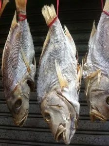 Като сол технология Taranco и основните правила за живот ръководство