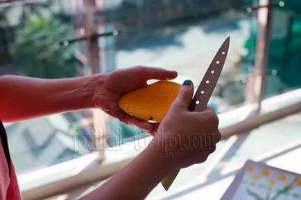 Gyümölcs mangó - hogyan kell kiválasztani, hogyan kell tisztítani, használja a mangó a mangó ár Pattaya