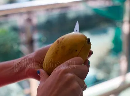 Gyümölcs mangó - hogyan kell kiválasztani, hogyan kell tisztítani, használja a mangó a mangó ár Pattaya