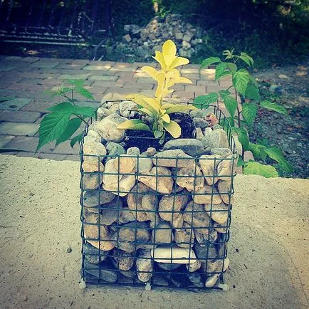 Gabion kezét fotó, videó, lépésről lépésre