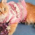 Как да си вратовръзка за котки - чиста котка - мебели и дрехи за домашни любимци - котка чиста - мебели и