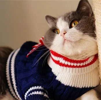 Как да се връзвам за котки