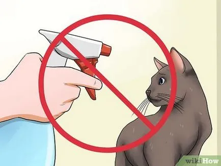 Как да се успокои агресивна котка