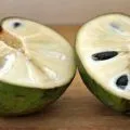 Как да расте овес за котки без земя и дървени стърготини