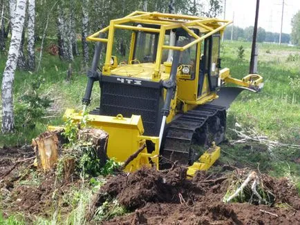 Как да се изкорени и премахване на пъна в градината