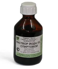 Как да се покаже татуировка в дома (като продукция татуировка) Как да се покаже татуировка у дома