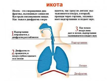 Както от пет минути, за да се отървете от хълцане - настройка на здравето