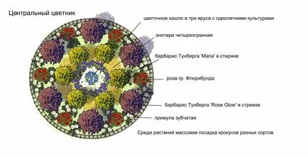 Цветни лехи на едногодишни - схеми, примери, стъпка по стъпка ръководство