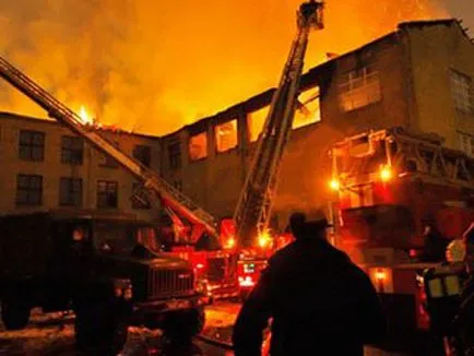 Какво вой куче