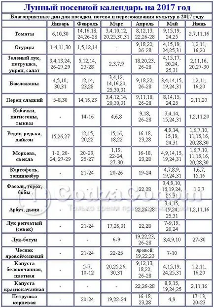 Кога да засадят домати в открит терен през 2017 г. на един месец, броят на благоприятна