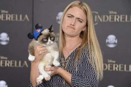 Feline бум защо котките са по-популярни от други животни, както и колко марки ги използват в рекламата