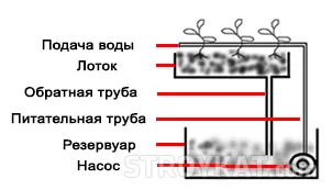 Hydroponics saját kezét - különféle módszerekkel - okok, udvar, kert, villa - telek öntözés (építőmérnöki cégek) Hydroponics saját kezét - különféle módszerekkel - okok, udvar, kert, villa - telek öntözés