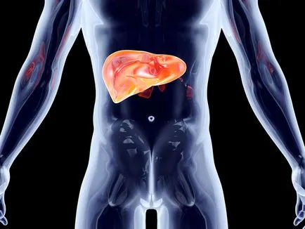 Hepatitis B és mi ez, és hogyan kerül továbbításra, a tünetek egy fertőző betegség, a diagnózis és a kezelés Botkin
