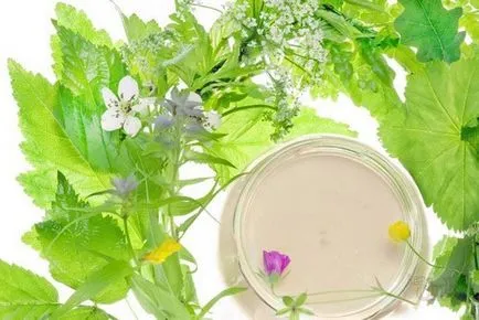 Cream през летния крем за различните типове кожа, най-добрите търговски марки