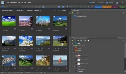 Топ fotomenedzhery - ACDSee, Ashampoo, Picasa или да го хвърли в кошчето