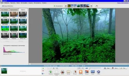 Топ fotomenedzhery - ACDSee, Ashampoo, Picasa или да го хвърли в кошчето