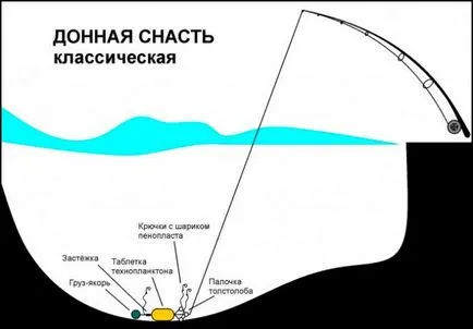 Carp риболов, справяне за улов на шаран, стръв