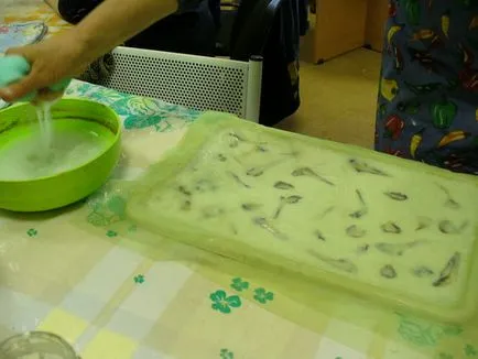 за Scrapbooking Семинари