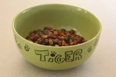 Купи и хранилки за котки, които са избрали (купички) Купи и хранилки за котки, за да изберете