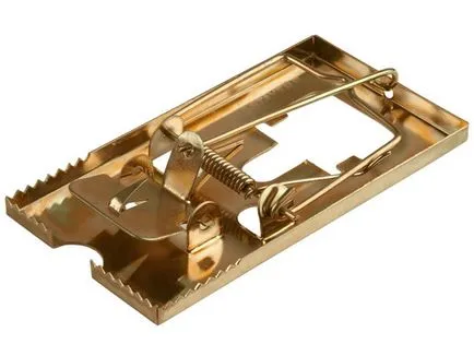 Mousetrap с ръцете си как да се направи импровизирана