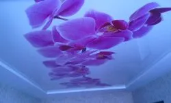 Опънати тавани фотопечат (100 интересна снимка дизайн) (тавани) Опънати тавани фотопечат (100 интересна снимка дизайн)