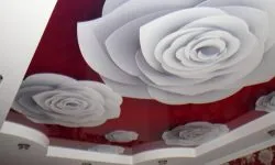 Опънати тавани фотопечат (100 интересна снимка дизайн) (снимка) Опънати тавани фотопечат (100 интересна снимка дизайн)